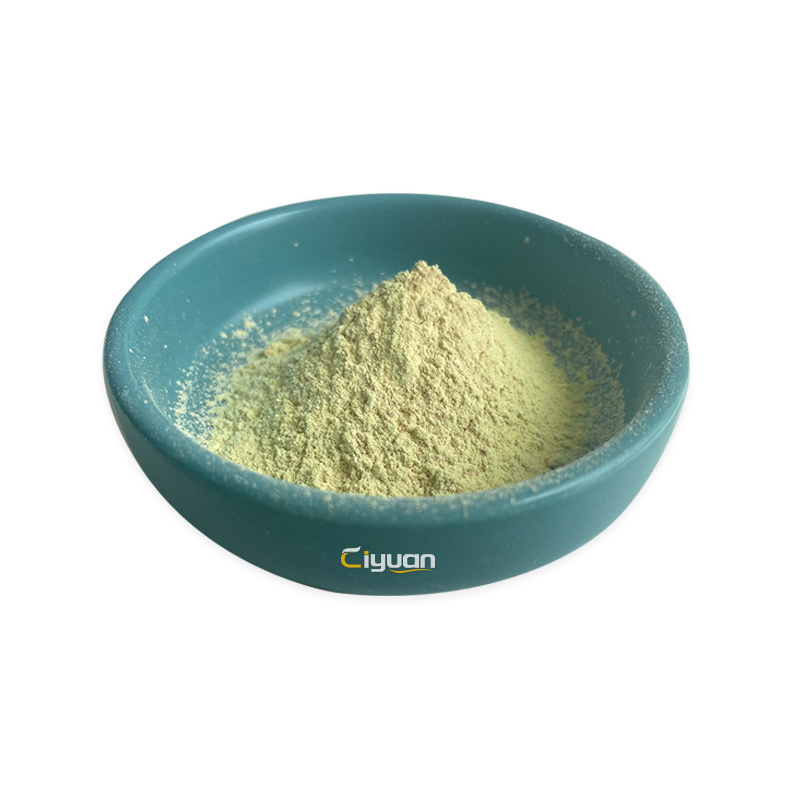 Celery Seed Extract Capsules